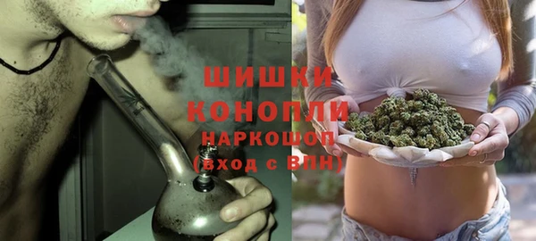 тгк Дмитровск