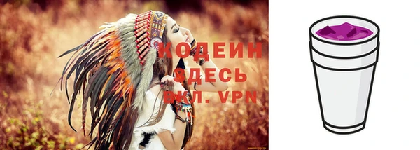 тгк Дмитровск