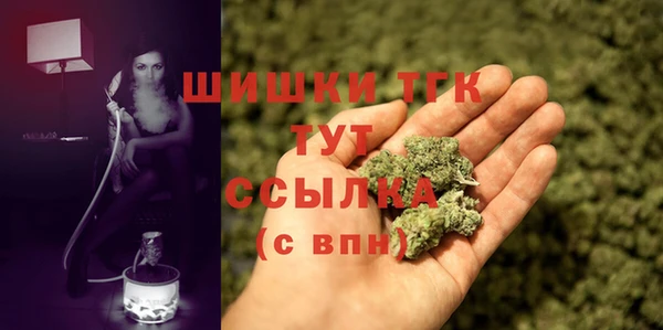 тгк Дмитров