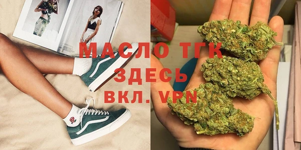 тгк Дмитровск