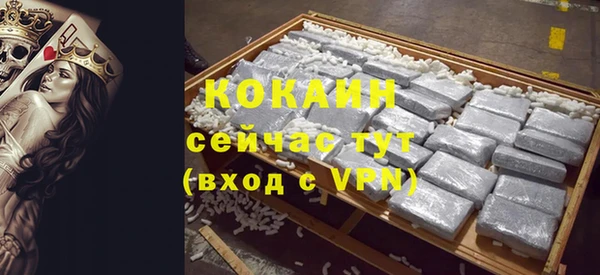 тгк Дмитров