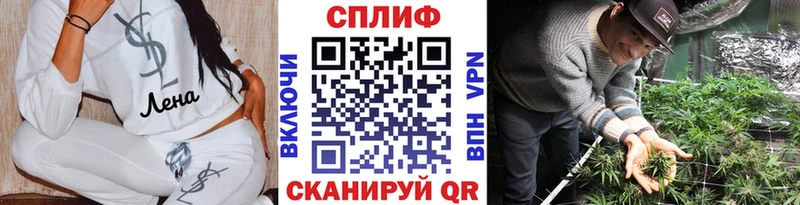 Купить закладки  Новодвинск  Марихуана OG Kush 